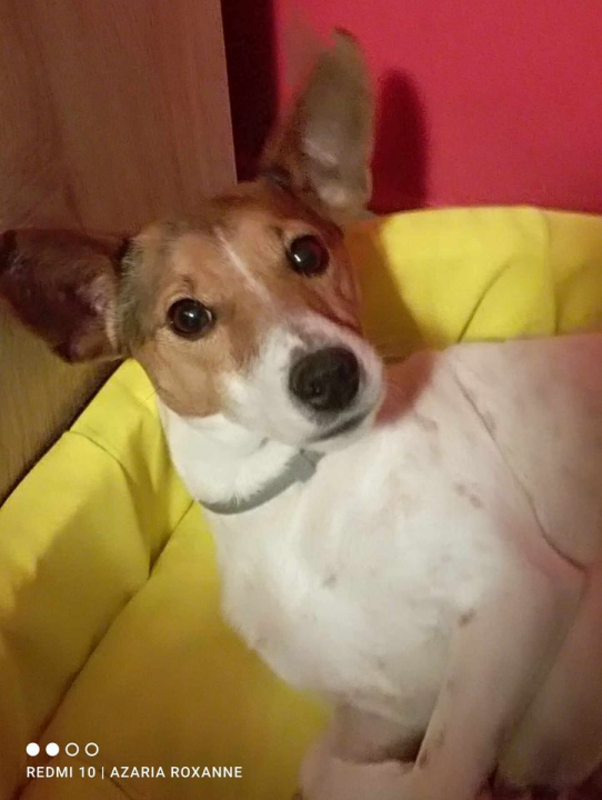 Provjerite tko su naj ljubimci 2024. godine!