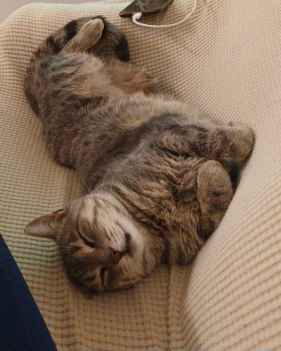 Provjerite tko su naj ljubimci 2024. godine!