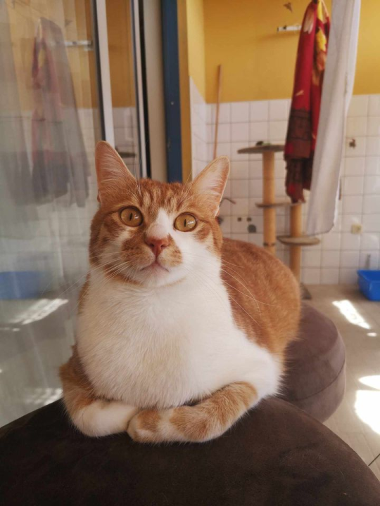 Provjerite tko su naj ljubimci 2024. godine!