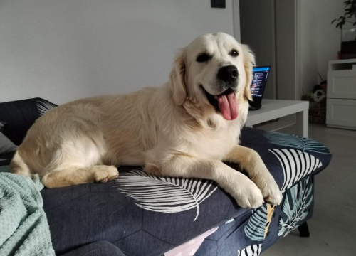 Fotografija 143 - Provjerite tko su naj ljubimci 2024. godine!