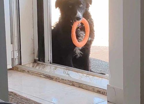 Fotografija 147 - Provjerite tko su naj ljubimci 2024. godine!