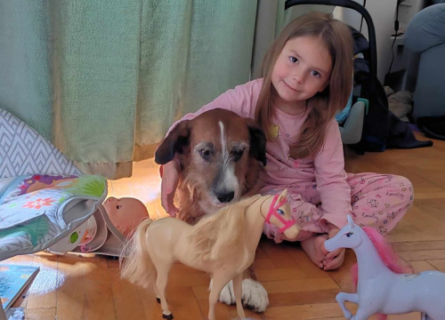 Fotografija 165 - Provjerite tko su naj ljubimci 2024. godine!