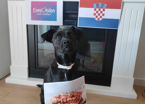 Fotografija 197 - Provjerite tko su naj ljubimci 2024. godine!