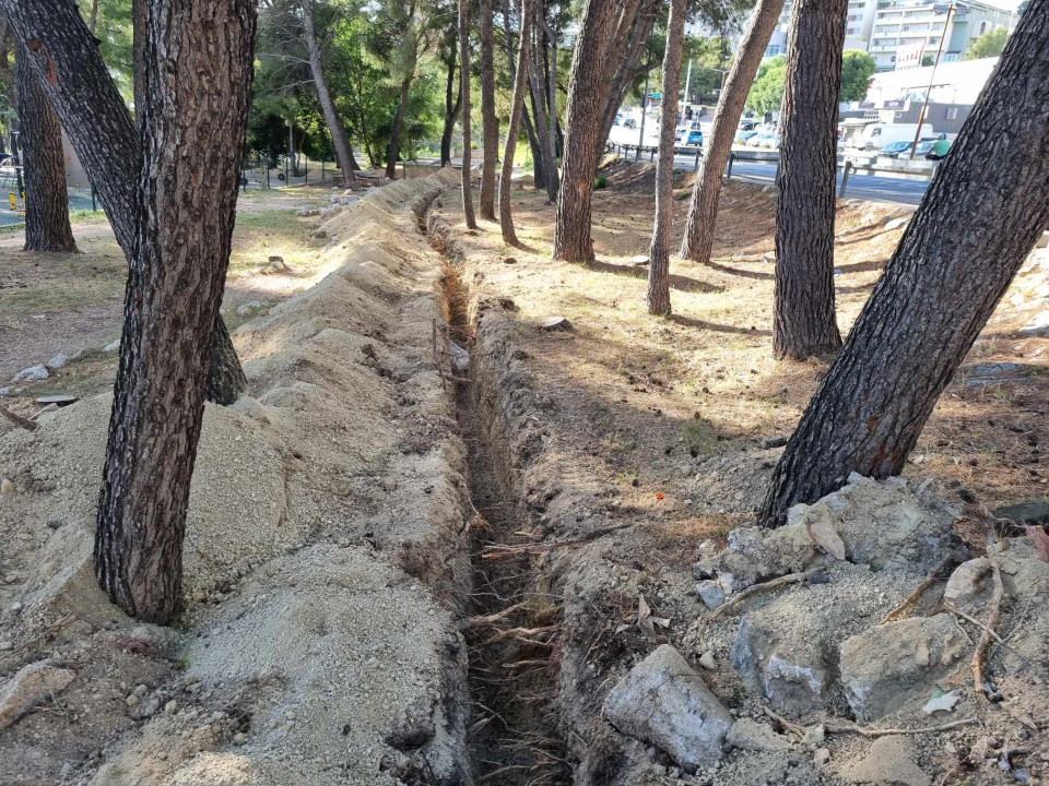 Krenula kompletna obnova Rasadnika: Stižu nova stabla i slavine za pitku vodu, uređuju se igrališta...