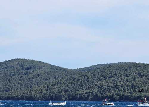 Fotografija 5 - Mještani Prvića prosvjedovali jer su nezadovoljni brodovima koji ih povezuju s kopnom