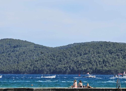 Fotografija 6 - Mještani Prvića prosvjedovali jer su nezadovoljni brodovima koji ih povezuju s kopnom