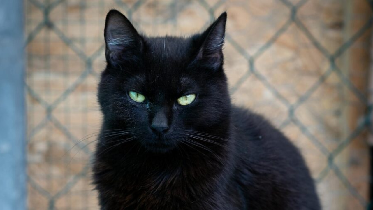 Ništa im nije po volji: Ovi horoskopski znakovi su uvijek nezadovoljni