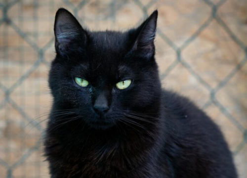 Ništa im nije po volji: Ovi horoskopski znakovi su uvijek nezadovoljni