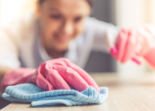 Teria Cleaning nudi vrhunsku uslugu čišćenja!