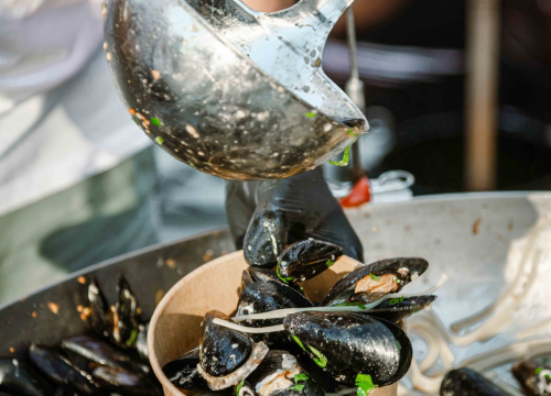 Fotografija 15 - Zbog jednog skladnog para trg ispred Županije i ove je godine pun
