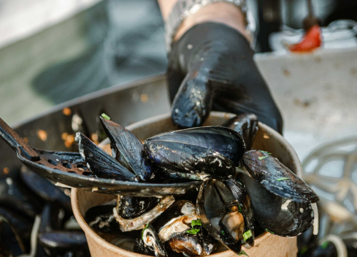 Fotografija 18 - Zbog jednog skladnog para trg ispred Županije i ove je godine pun
