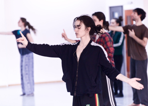 Fotografija 21 - Šibenik Dance Festival donosi edukativne i zabavne plesne radionice za djecu i odrasle