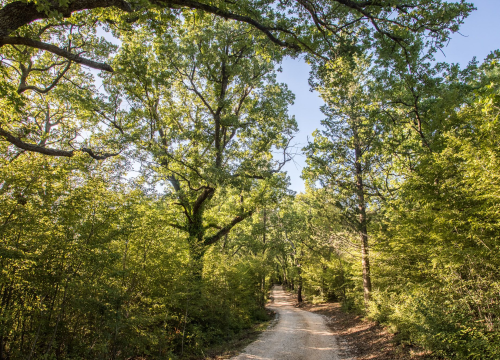 Fotografija 9 - 'Punjenje baterija' u Nacionalnom parku Krka, idealnom mjestu za odmor i rekreaciju