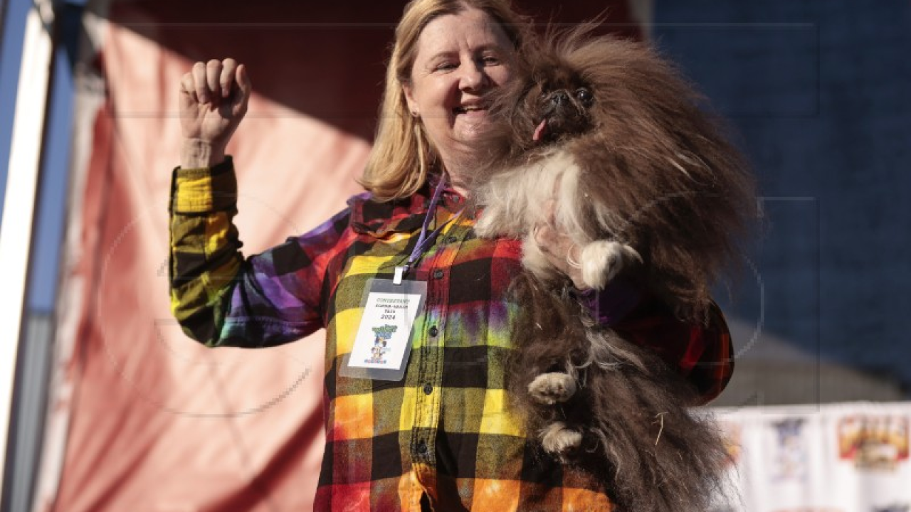 Osmogodišnji pekinezer pobijedio na izboru za najružnijeg psa