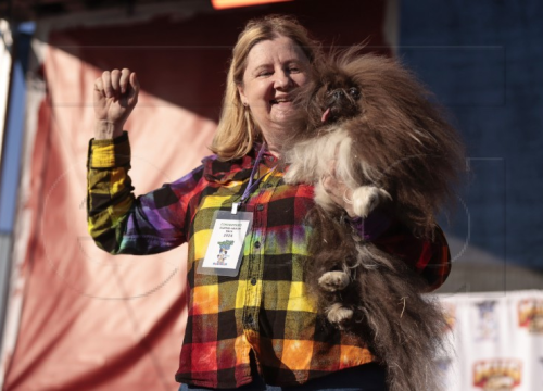 Osmogodišnji pekinezer pobijedio na izboru za najružnijeg psa