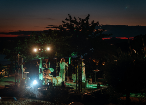 Fotografija 14 - Nina Romić na Baroneu Djevojkom iz mog kraja rastjerala buru