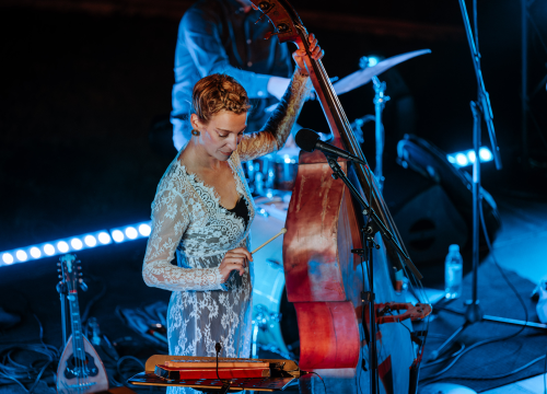 Fotografija 17 - Nina Romić na Baroneu Djevojkom iz mog kraja rastjerala buru