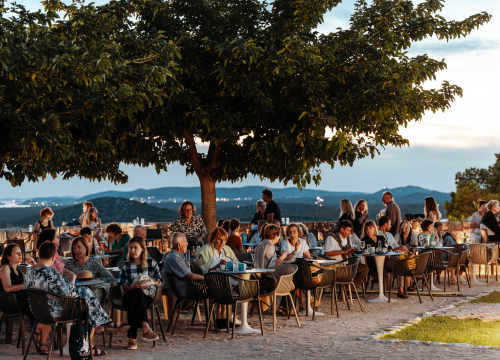 Fotografija 8 - Goran Višnjić pogledao kompletno sulud film sa ‘sotonističkim’ prevarantom Leonom Lučevom