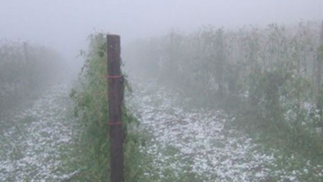 Najopasnija tuča u zabilježenoj povijesti: S neba su padali komadi leda veličine kugle za kuglanje