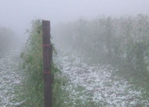Najopasnija tuča u zabilježenoj povijesti: S neba su padali komadi leda veličine kugle za kuglanje