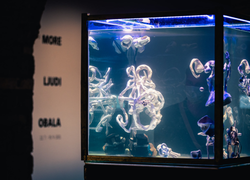 Po 54. put  izložba ´More ljudi obala´ u šibenskom muzeju