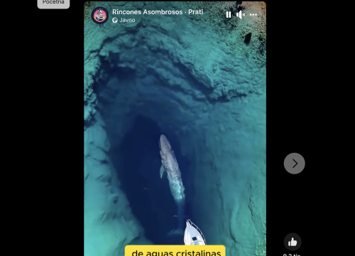 Na društvenim mrežama ima svega, pa i kitova u izvoru Cetine