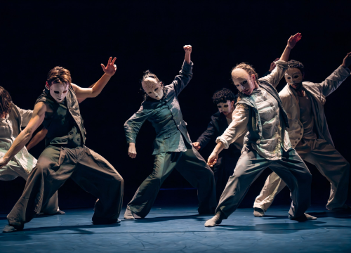 15 država, 250 sudionika, više od 20 plesnih programa i Pinocchio: Što vas sve očekuje na 13. Šibenik Dance Festivalu?