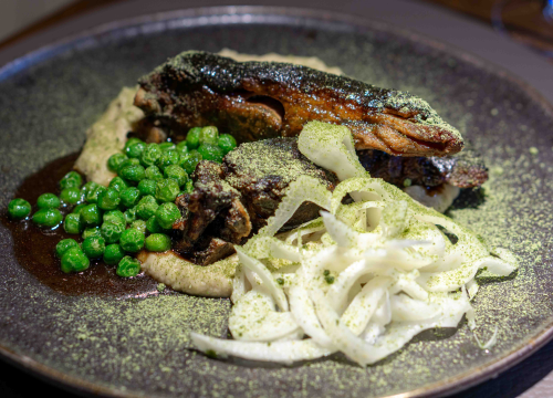 Fotografija 6 - Provedite ugodne večeri na terasi restorana Mlin Montanari uz svirke uživo