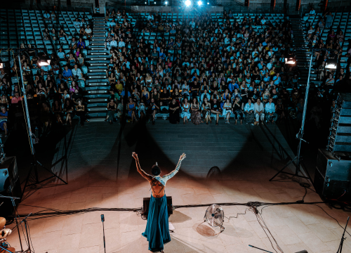 Fotografija 22 - Božo Vrećo nasmijao, rasplakao i rasplesao publiku na sv. Mihovilu
