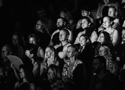 Fotografija 24 - Božo Vrećo nasmijao, rasplakao i rasplesao publiku na sv. Mihovilu