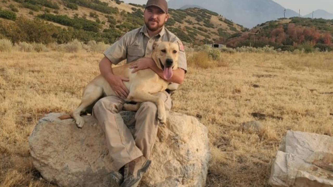 Pas lajanjem spasio život nestaloj dementnoj vlasnici