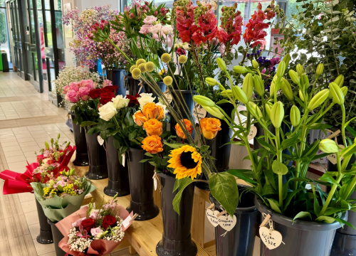 Fotografija 6 - Obradujte svoje najmilije prekrasnim cvjetnim aranžmanima novootvorenog Flower shopa Lu