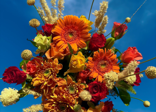 Fotografija 12 - Obradujte svoje najmilije prekrasnim cvjetnim aranžmanima novootvorenog Flower shopa Lu