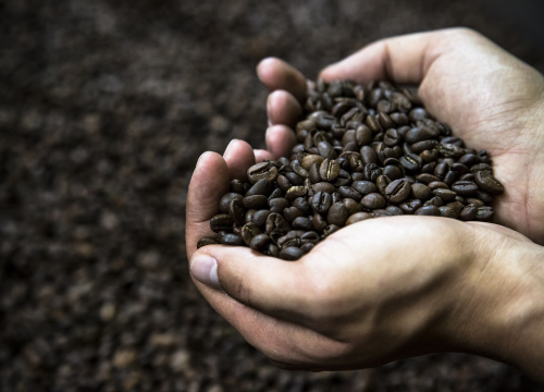 Dodajte ovaj sastojak u kavu i poboljšat ćete zdravlje mozga