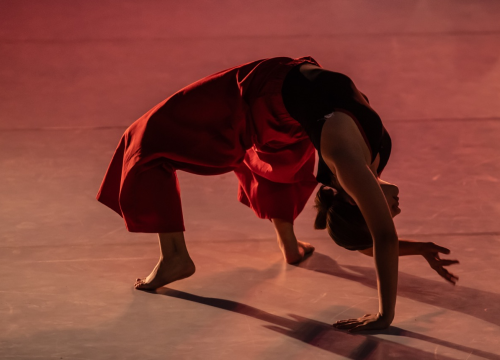 Fotografija 14 - Anatomija zagrljaja i preispitivanje percepcije vlastitog tijela na tvrđavi Barone