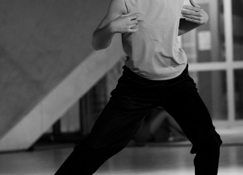 Fotografija 15 - Anatomija zagrljaja i preispitivanje percepcije vlastitog tijela na tvrđavi Barone