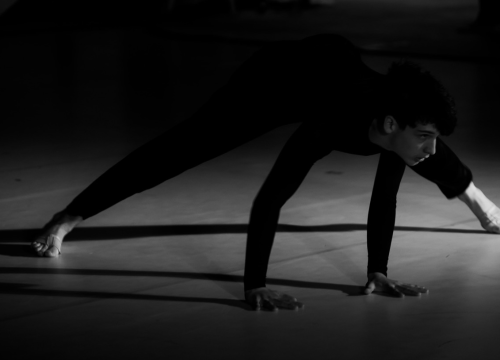 Fotografija 16 - Anatomija zagrljaja i preispitivanje percepcije vlastitog tijela na tvrđavi Barone