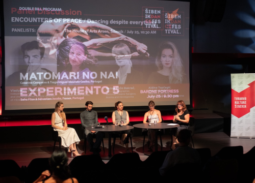 Fotografija 22 - Anatomija zagrljaja i preispitivanje percepcije vlastitog tijela na tvrđavi Barone