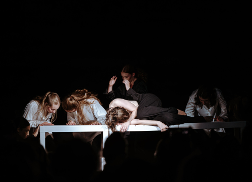 Fotografija 27 - Anatomija zagrljaja i preispitivanje percepcije vlastitog tijela na tvrđavi Barone