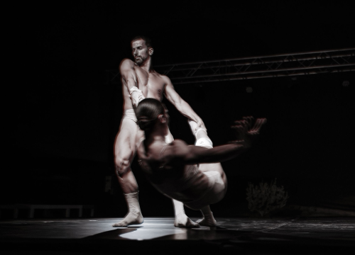 Fotografija 30 - Anatomija zagrljaja i preispitivanje percepcije vlastitog tijela na tvrđavi Barone