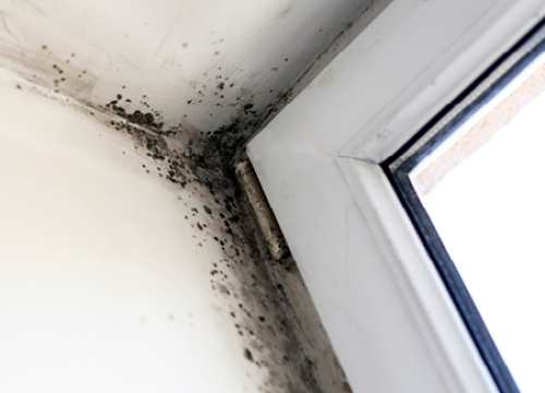 Fotografija 2 - Uz i-Vent preduhitrite na vrijeme prekomjernu vlagu i plijesan