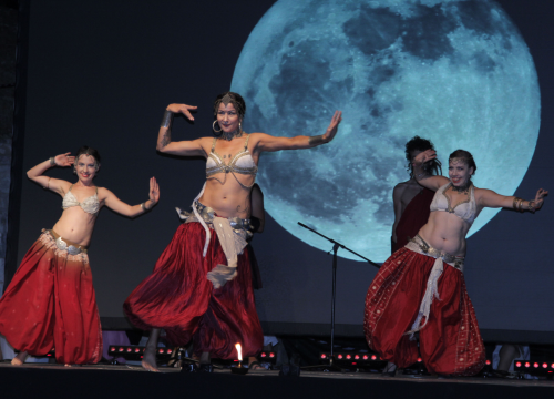 Fotografija 4 - Ne propustite XVI. Burnumske ide jer vas očekuje Dancing Queen ABBA Real Tribute Band