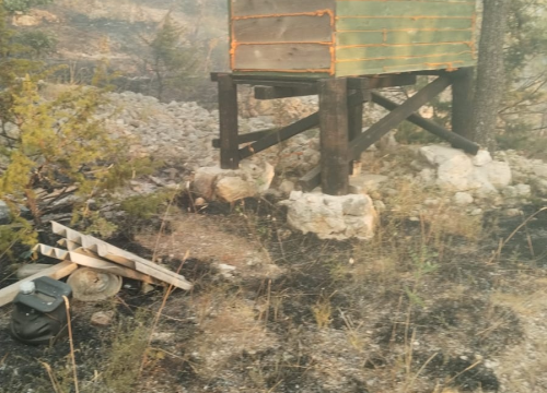 Fotografija 2 - U katastrofalnom požaru u skradinskom zaleđu stradale i brojne životinje