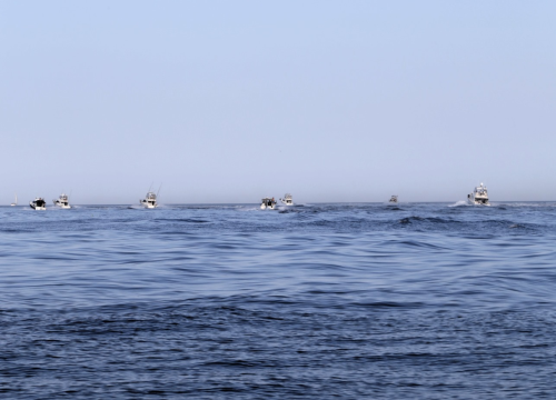 Fotografija 9 - 'Corto' i trinaestogodišnja kapetanica svjetski su prvaci i pobjednici prvog 'Adriatic offshore tuna championship 2024.'