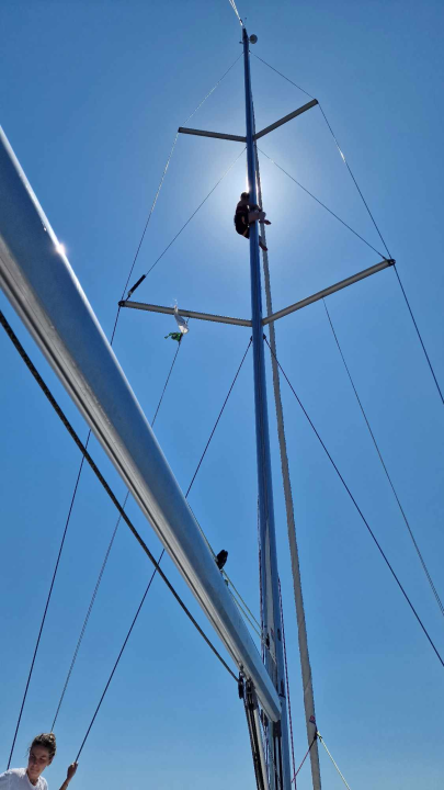 Morska avantura  ŠibenikIN-a: Tjedan dana jedrenja do Dubrovnika, prekrasnih otoka i vala uz nezaboravnu igru dupina