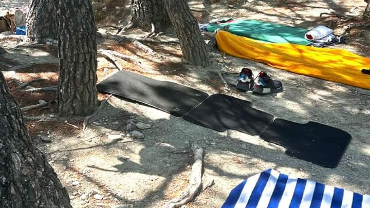 Šugamani, ležaljke, auto tepisi: Sve za uživanje u debeloj hladovini