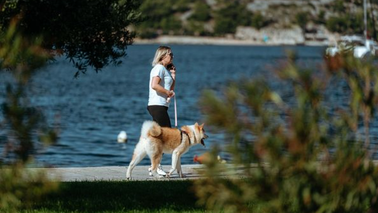 Evo koji kućni ljubimac najbolje odgovara svakom horoskopskom znaku