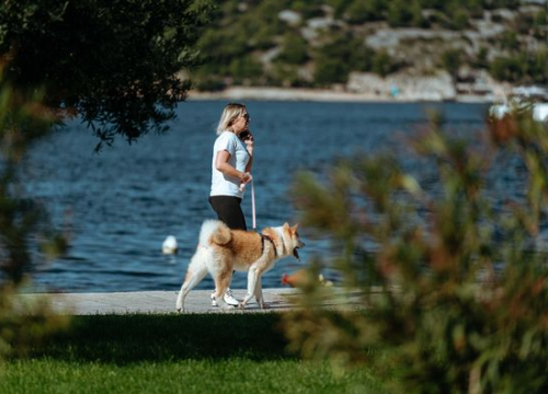Evo koji kućni ljubimac najbolje odgovara svakom horoskopskom znaku
