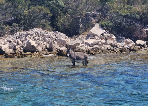 Fotografija 4 - ‘Deceptive Simplicity’ Jerko Jurin Quarteta na Baroneu ili suvremeni jazz s elektronskim teksturama