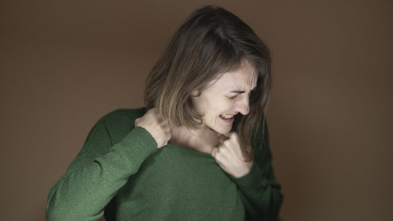 Postoje četiri glavne vrste temperamenta